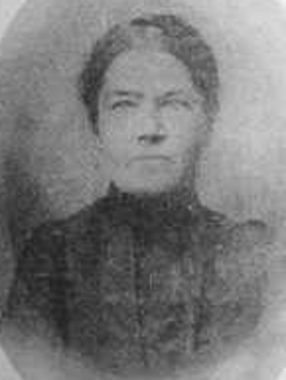 Eliza Margrethe Krogh (1838 - 1926) Profile